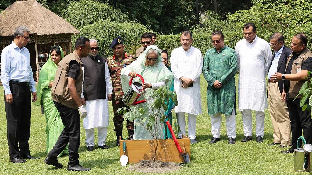 সবাই তিনটা করে, না পারলে অন্তত একটা গাছ লাগান: প্রধানমন্ত্রী