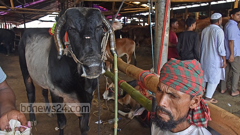 চট্টগ্রামের সাগরিকা পশুর হাটে ক্রেতার অপেক্ষায় ব্যাপারী।&amp;nbsp;ছবি: সুমন বাবু