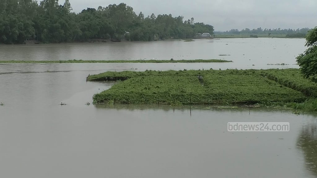 কুড়িগ্রামে নদ-নদীতে বাড়ছে পানি, সবজি ক্ষেত প্লাবিত