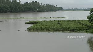 কুড়িগ্রামে নদ-নদীতে বাড়ছে পানি, সবজি ক্ষেত প্লাবিত