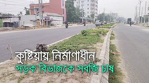 সড়ক বিভাজকে নানা জাতের সবজি চাষ