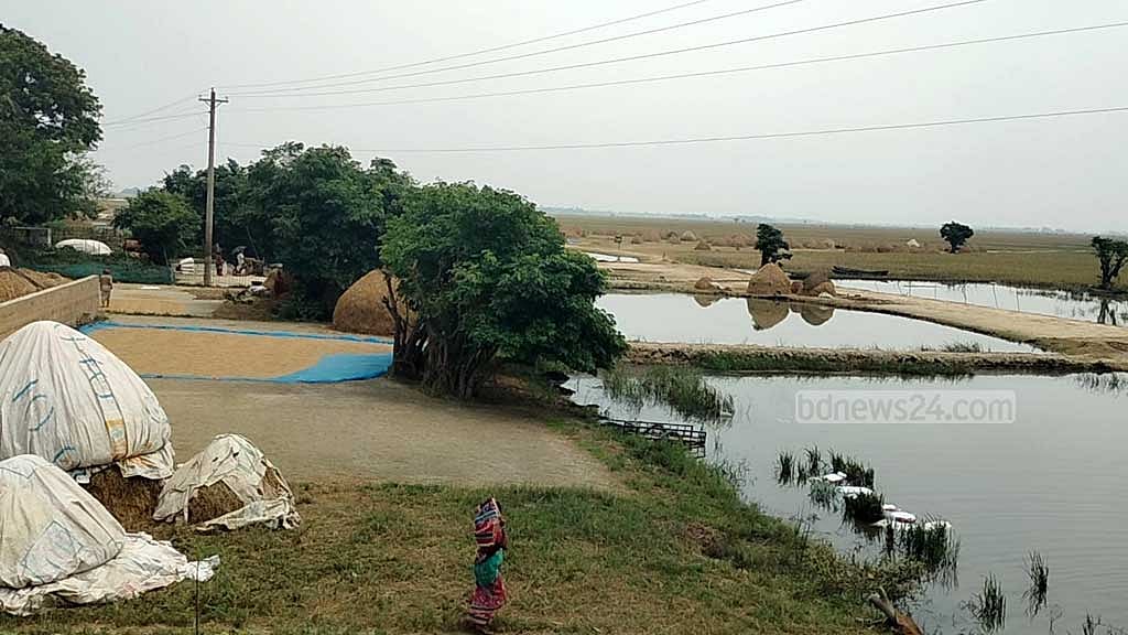 ‘আষাঢ় মাইস্যা ভাসা পানি’ নেই এবার, বিপদে হাওর