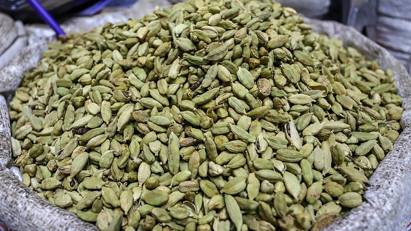 কারওয়ান বাজারে শনিবার প্রতি কেজি এলাচি বিক্রি হচ্ছে ১৬৫০ থেকে ২৮০০ টাকায়; যা গত সপ্তাহেও ছিল ১৬০০ থেকে ২৪০০ টাকা। ছবি: আসিফ মাহমুদ অভি