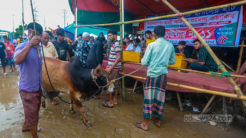 ঢাকার হাজারীবাগ কোরবানির পশুর হাটে গরু কেনা শেষে হাসিল পরিশোধ করছেন ক্রেতারা।&amp;nbsp;ছবি: তাওহীদুজ্জামান তপু