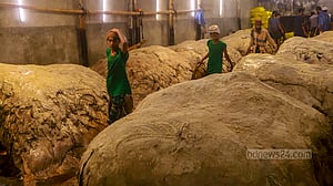 পোস্তায় চামড়া সংরক্ষণের ব্যস্ততা