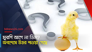 মুরগি আগে নাকি ডিম- অবশেষে উত্তর পাওয়া গেছে?