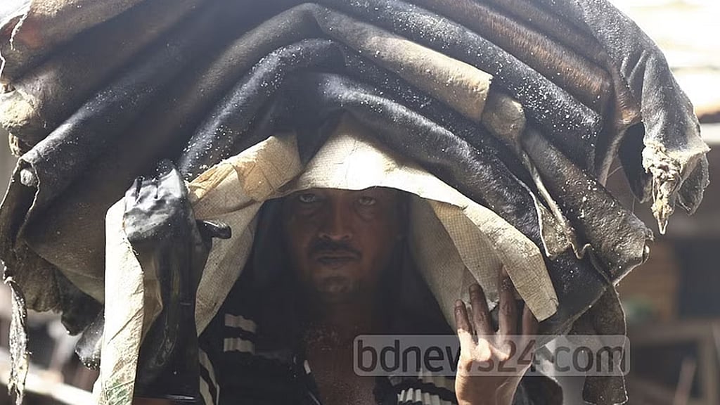 কোরবানি: গরুর চামড়ার দাম বাড়ল বর্গফুটে ৩ টাকা