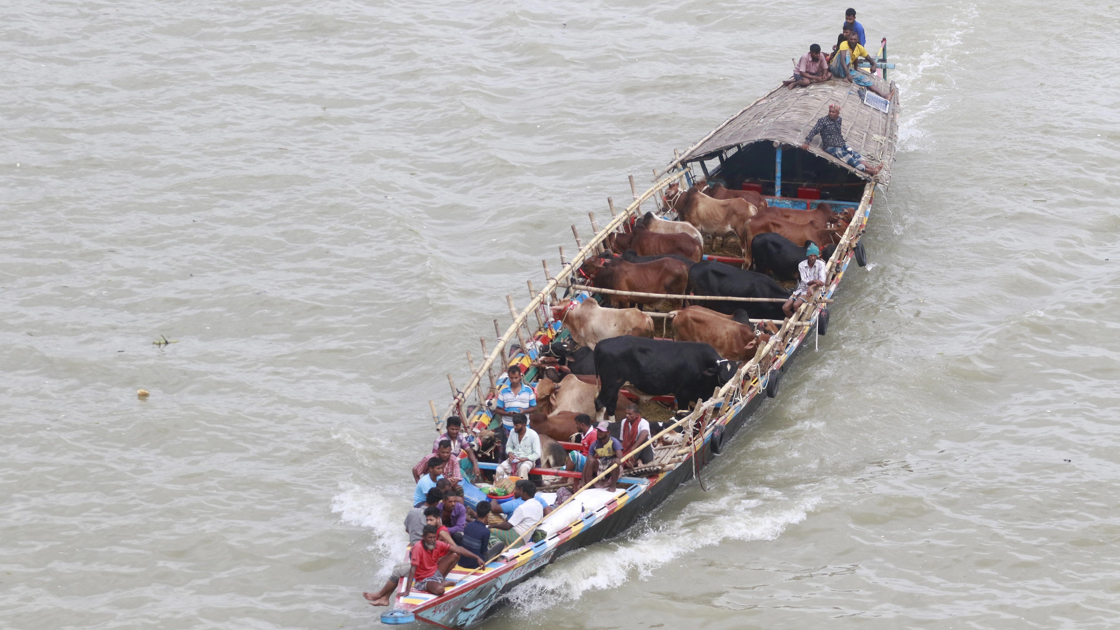 ৯৯৯: কোরবানির পশুর গাড়ি নিয়ে টানাহেঁচড়া, চাঁদাবাজির ২৮২ অভিযোগ