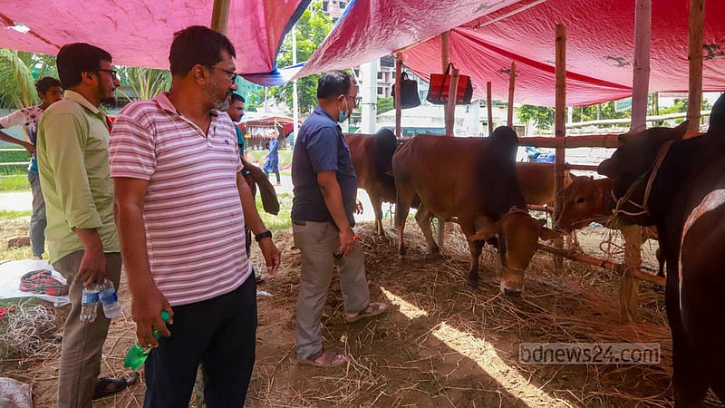 ঢাকার মোহাম্মদপুরের বছিলায় পশুর হাটে শুক্রবার গরু দেখতে আসেন ক্রেতারা।&amp;nbsp;ছবি: তাওহীদুজ্জামান তপু