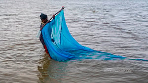 রেণু ধরছেন নারীরা, উপকার পাচ্ছে পরিবারও