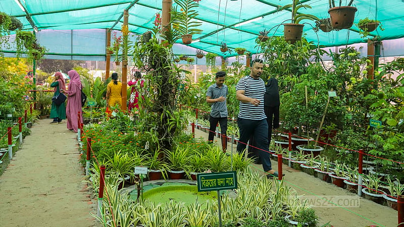 ঢাকার শের-ই-বাংলা নগরে শনিবার জাতীয় বৃক্ষ মেলার একটি স্টলে দর্শনার্থীরা। ছবি: আসিফ মাহমুদ অভি