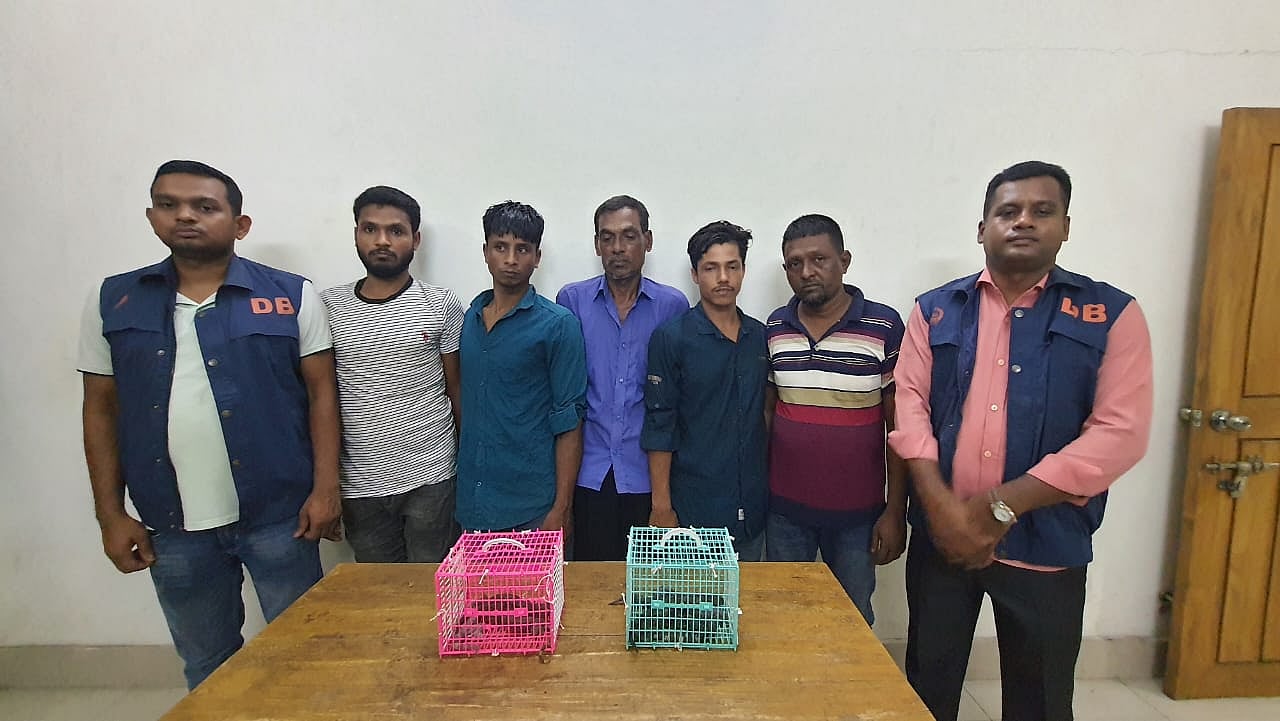 পাচারকালে কুমিরা থেকে ৭টি তক্ষক উদ্ধার