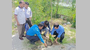 শীতলক্ষ্যা তীরে গাছ লাগিয়েছে প্রাণ ও বিআইডব্লিউটিএ