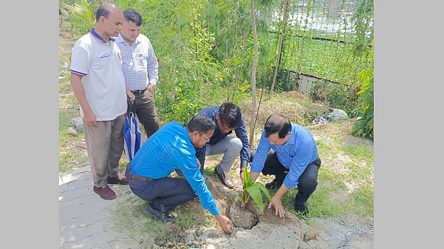 শীতলক্ষ্যা তীরে গাছ লাগিয়েছে প্রাণ ও বিআইডব্লিউটিএ