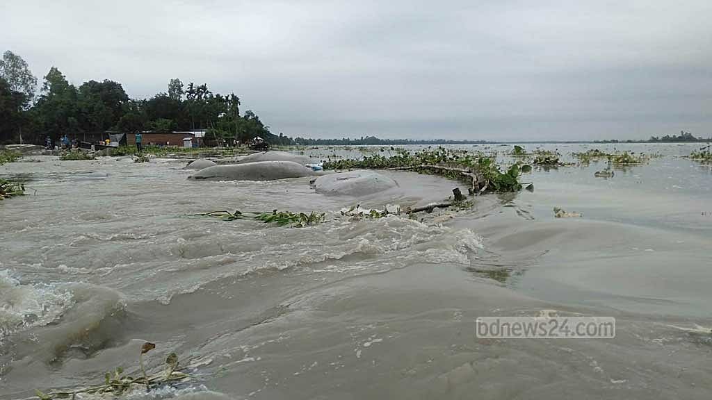 কুড়িগ্রামে দুধকুমার নদের বন্যা নিয়ন্ত্রণ বাঁধে ভাঙন, প্লাবিত নিম্নাঞ্চল