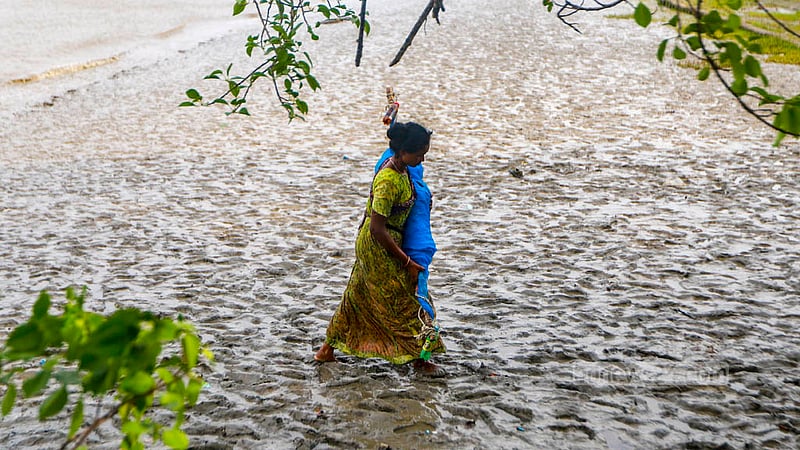 পশুর নদীতে গলদা ও বাগদার রেণু ধরার পর ঘরে ফিরছেন এক নারী।&amp;nbsp;ছবি: তাওহীদুজ্জামান তপু