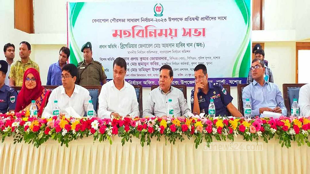 ৮০০ নির্বাচন হয়েছে, একজনও মারা যায়নি: ইসি আহসান হাবিব