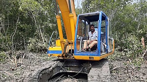 চট্টগ্রামে ‘সৃজিত বন’ কেটে পার্ক বানানোর অভিযোগ জেলা প্রশাসনের বিরুদ্ধে