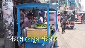 গরমে চাহিদা বাড়ে লেবুর শরবতের