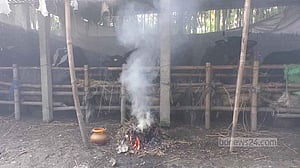 কুড়িগ্রাম ও জয়পুরহাটে গরুর লাম্পি স্কিন রোগের প্রকোপ