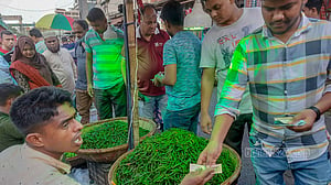 ভারত থেকে কাঁচা মরিচ আসার পর দর নামল ২০০ টাকায়