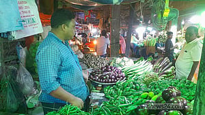 গাজীপুরে কাঁচামরিচের দাম কমে ৪০০ টাকা