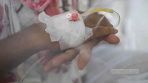 শীতেও টিকে আছে এইডিস মশা, ডেঙ্গু থামছে না