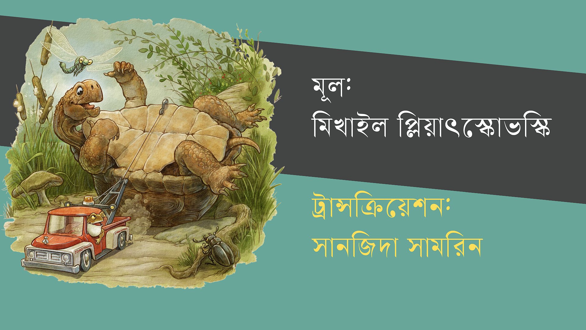 উল্টে যাওয়া কচ্ছপের গল্প