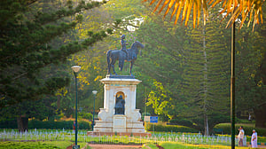 মহারাজা হায়দার আলীর বৃক্ষবাগান