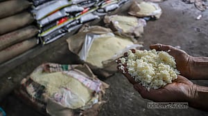 বৃষ্টির পানিতে নষ্ট বিপুল চাল-ডাল