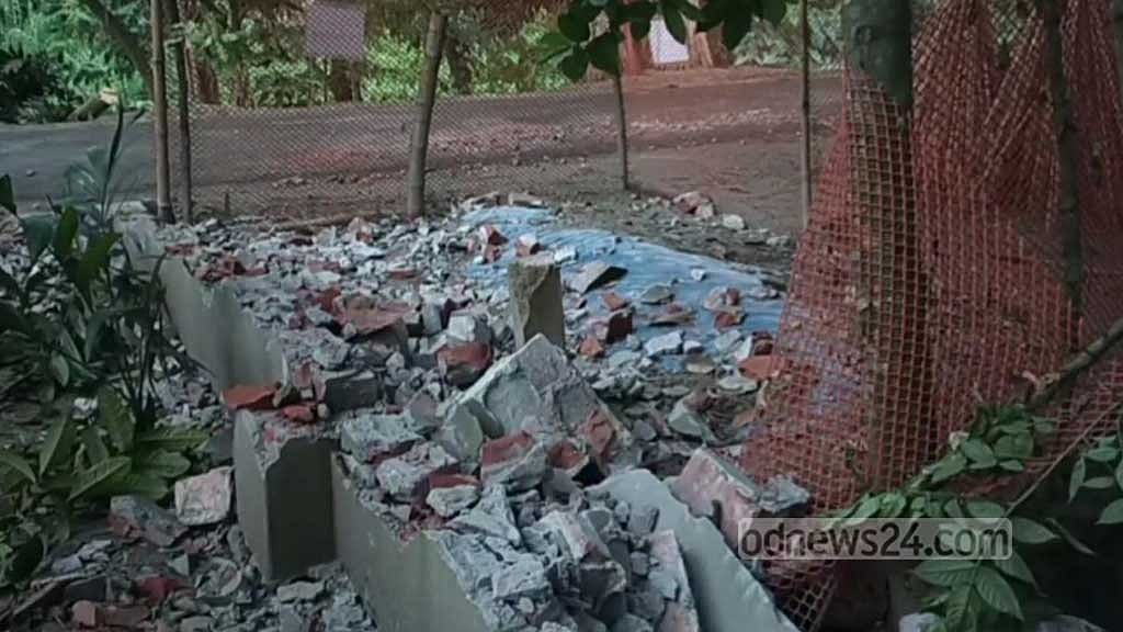 মাদারীপুরে মুক্তিযোদ্ধার বাড়িতে হামলা ও অর্ধশত গাছ কেটে ফেলার অভিযোগ