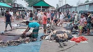 টাঙ্গাইলের হাটে চামড়া আছে, কিন্তু ক্রেতা নেই