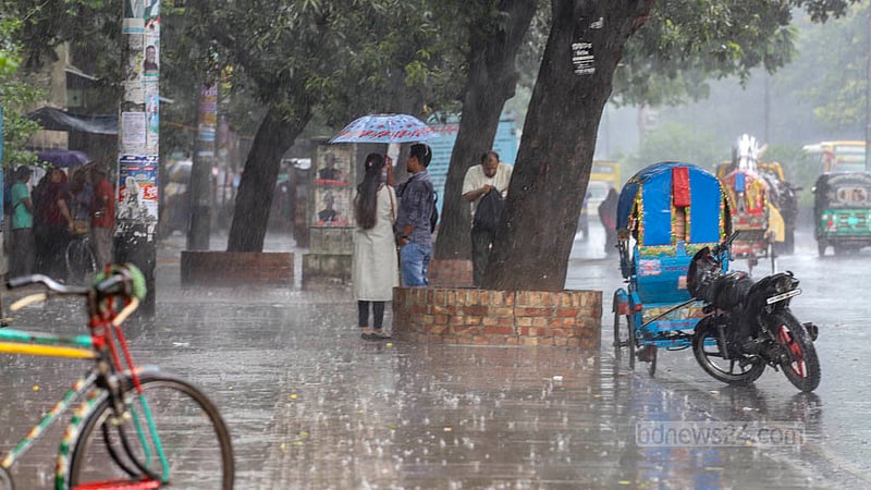 শ্রাবণের বৃষ্টি নামে হুটহাট। বুধবার দুপুরে ঢাকার মিরপুরে হঠাৎ বৃষ্টি নামলে পথচারীদের আশ্রয় খুঁজতে হয় গাছের নিচে কিংবা ফুটপাতের দোকানে। ছবি: আসিফ মাহমুদ অভি