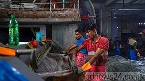 চামড়া প্রক্রিয়াকরণে পরিবেশবান্ধব পদ্ধতি উদ্ভাবনের দাবি