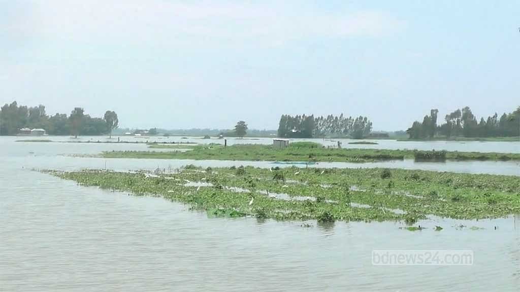 কুড়িগ্রামে নদ-নদীর পানি ফের বাড়ছে
