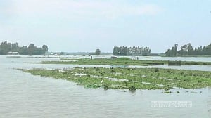 কুড়িগ্রামে নদ-নদীর পানি ফের বাড়ছে