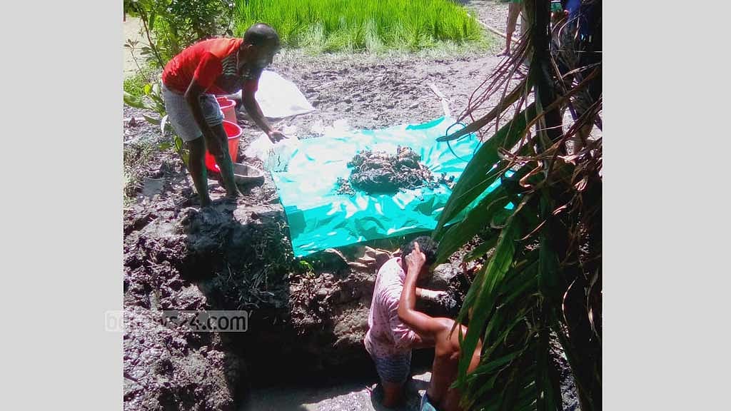 ‘জীবন্ত পুঁতে রেখেছিল’ সৎ ভাই, বছর পরে মিলল কঙ্কাল