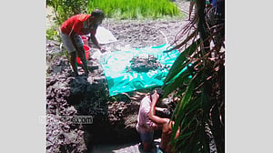 ‘জীবন্ত পুঁতে রেখেছিল’ সৎ ভাই, বছর পরে মিলল কঙ্কাল