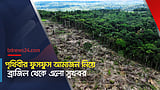 চলতি বছর আমাজন বন উজাড় কমেছে এক-তৃতীয়াংশ: ব্রাজিল