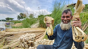 চলনবিলের সোনালি আঁশ