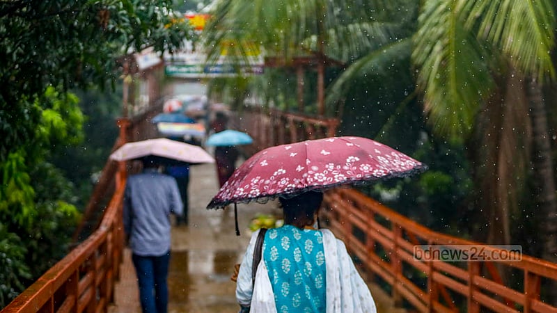 ভাদ্র শুরু হলেও ঢাকার আকাশ ভেঙে নামছে বৃষ্টি। এমন দিনে ঘরের বাইরে বের হতে ছাতা সঙ্গে নিতেই হয়।ছবি: মাহমুদ জামান অভি