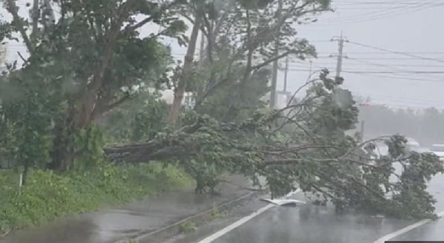 টাইফুন খানুনের কবলে জাপান, ওকিনাওয়ার এক-তৃতীয়াংশ বিদ্যুৎ বিচ্ছিন্ন