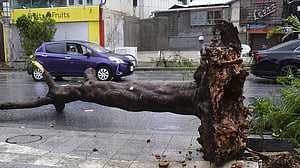 টাইফুন খানুনের প্রভাবে জাপানে নিহত ২, আহত ৬২