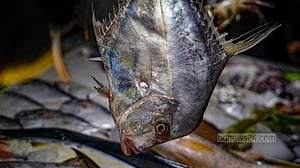 সমুদ্র পাড়ে ভাজা মাছের ঘ্রাণ