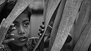 শুক্রবার থেকে 'আম-কাঁঠালের ছুটি'