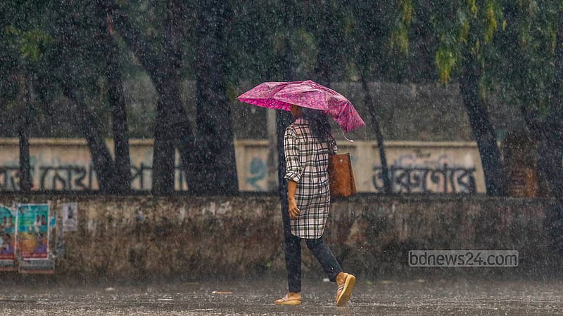 ছুটির দিন শুক্রবার সকাল থেকেই ছিল মেঘের আনাগোনা। দুপুর হতেই আকাশ ভেঙ্গে নামে শ্রাবণের বৃষ্টি। বৃষ্টির মধ্যে ঢাকা বিশ্ববিদ্যালয়ে ছাতা হাতে এক তরুণী।&amp;nbsp;ছবি: মাহমুদ জামান অভি