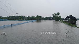টানা বর্ষণে বাগেরহাটে ভেসে গেছে ৪ হাজারের বেশি মাছের ঘের