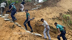 পাহাড় কেটে রাস্তা ও ঘর: ডিসির নজরে পড়ার পর অভিযান