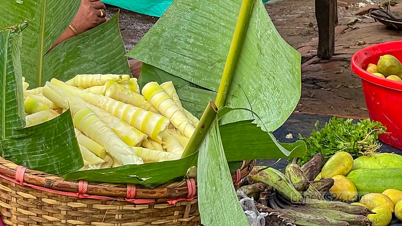 বাঁশ কোড়ল পাহাড়ের এমন এক সবজি- যা সবজি হিসেবে যেমন খাওয়া যায়, তেমনই মাংস বা মাছের সাথেও রান্না করা যায়।&amp;nbsp;ছবি: সমির মল্লিক