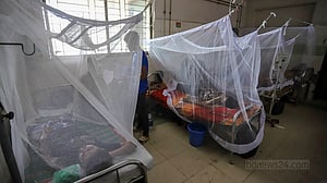 আরো ১০ মৃত্যু, নতুন রোগী বেশিরভাগই ঢাকার বাইরে